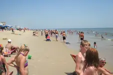 7251.webp