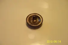 clints pics 002.webp