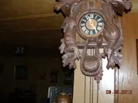 cuckoo 002.webp