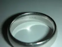 plat ring 8-4-2010.webp