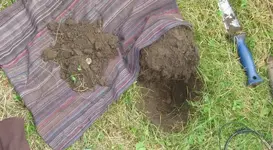 Merc2 Dirt1.webp