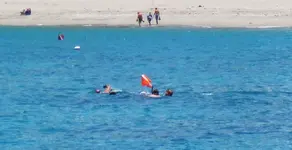 pirates checking seahunters holes.webp