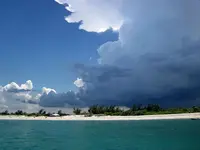 storm warnings.webp