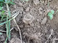 DSCF6165.webp