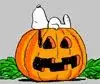 avatar_50279.webp