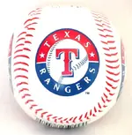texas_rangers_baseball-9680.webp