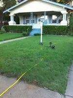 house1.webp