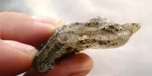 rock1.webp