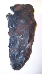 Arrowhead 2010 007.webp