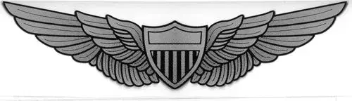aviator wings.webp