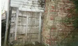 Square Logs.webp