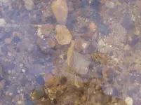 P1030344.webp