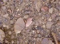 P1030348.webp
