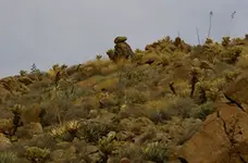 Pointer Rock 1b small .webp