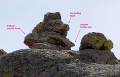 rew (600 x 383).webp