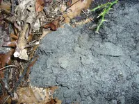 copper in ground.webp