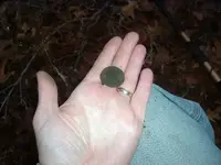 copper in hand.webp