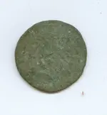 aweirdcoinback.webp
