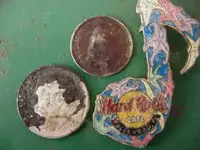 beach finds.webp