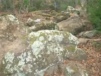 12 19 2006 017.webp