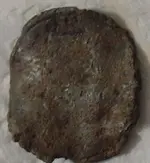 coinslug better.webp