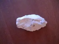 HPIM0539.webp