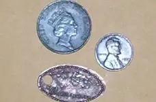 Coins.webp