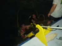 last dive 008.webp