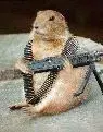 hog.webp