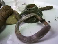 buckle.webp