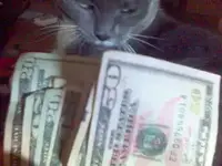 exwifecash.webp
