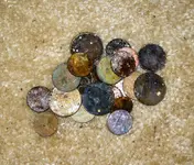 08_14 clad.webp