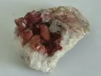 DSCF3144.webp