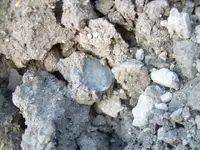 DSCN0509.webp