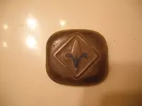 New Boy Scout Bolo.webp