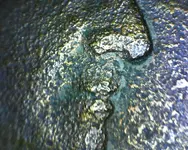 Picture 1r.webp