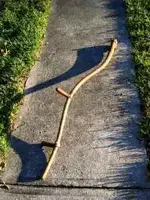 scythe handle.webp