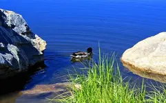 7-6c.webp