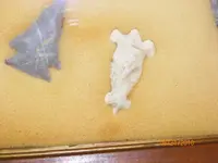 TURTLE 02..webp
