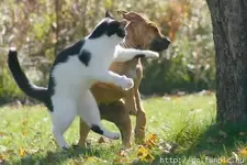 Take that!.webp