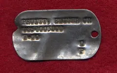 dogtag.webp