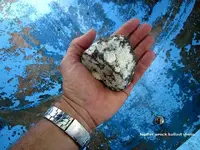 jupiter wreck ballast rock.webp