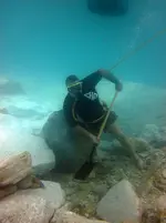 Dom Digging.webp