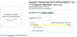 Sunken Treasure.webp