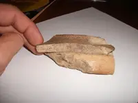 pottery 2.webp