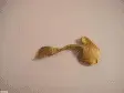 avatar_16390.webp