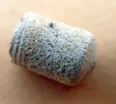 Det pill 2.webp