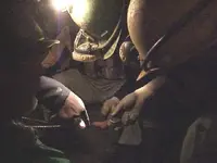6 Miners looking at Coins.webp