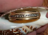 diamondringfirst.webp