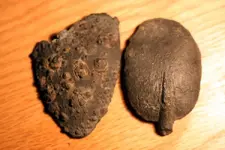 NC FINDS 8-14 002.webp